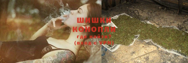 шишки Абаза