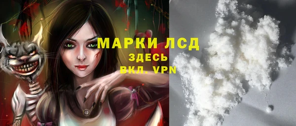 шишки Абаза