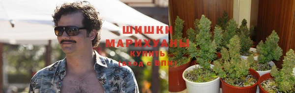шишки Абдулино