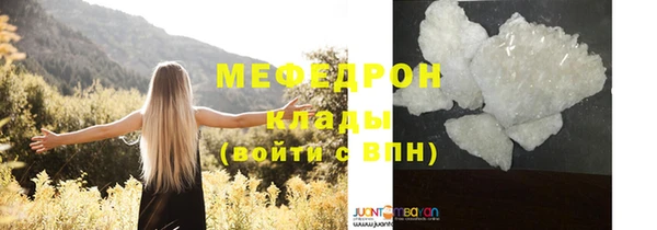 шишки Абаза