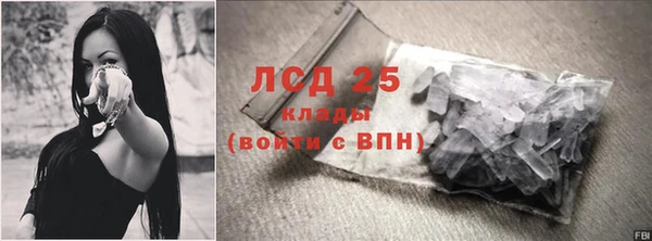 шишки Абаза