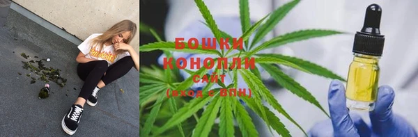 шишки Абдулино
