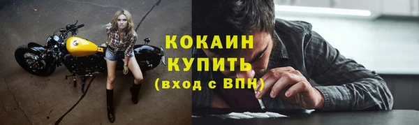 шишки Абаза