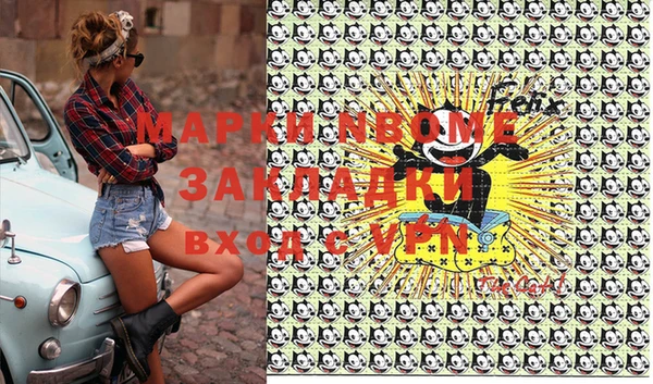 шишки Абаза