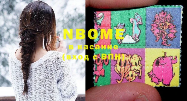 шишки Абаза