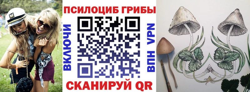 где можно купить   Струнино  Псилоцибиновые грибы мухоморы 